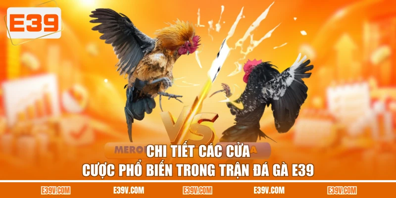 Chi tiết các cửa cược phổ biến trong trận đá gà E39s