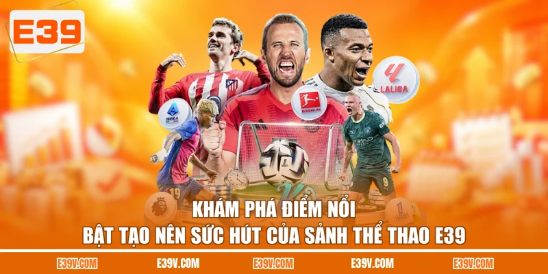 Khám phá điểm nổi bật tạo nên sức hút của sảnh thể thao E39